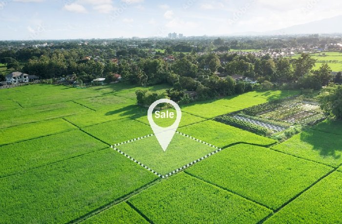 1000_F_538946570_HNfmPaLd8LZxN6kB6tx5M3dzyL3MIsgZ