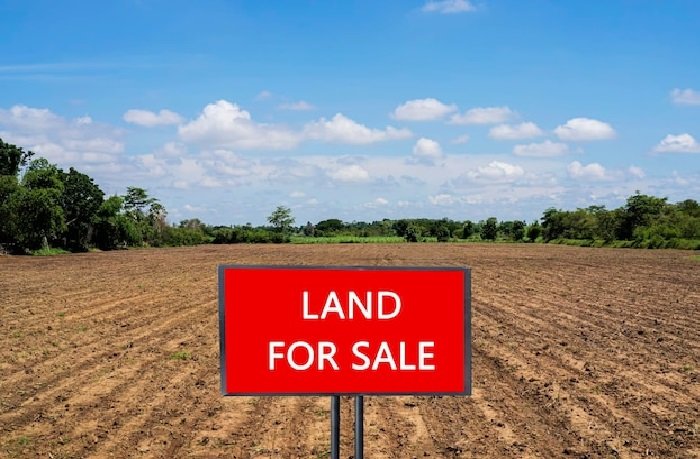 IN_638779085636052507-1803250329232923